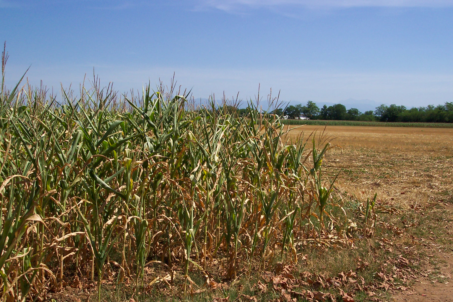 italia-climaticamente-rovesciata-fa-piu-caldo-al-nord-che-al